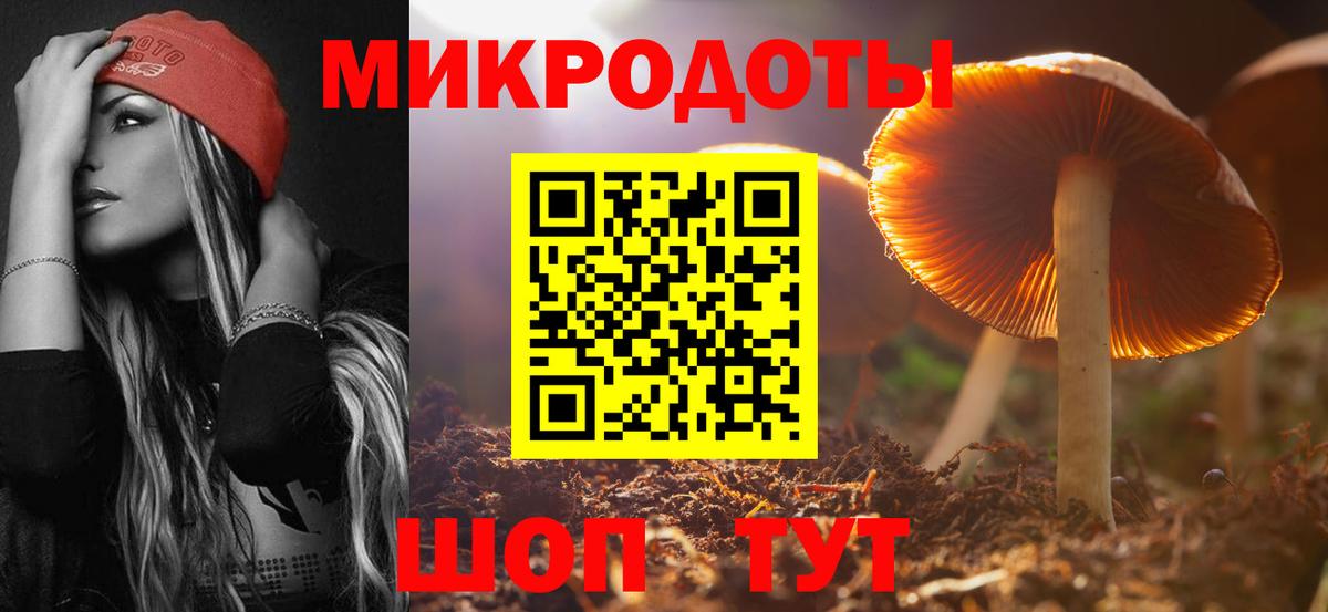 Галлюциногенные грибы GOLDEN TEACHER  купить   Галлюциногенные грибы Psilocybine cubensis  Михайловка  Вход с VPN 