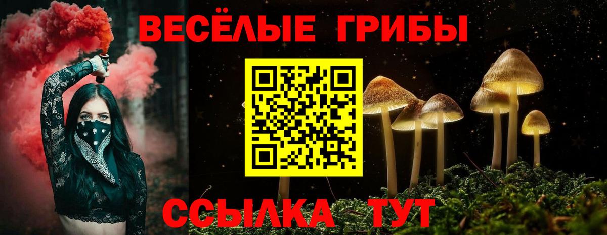 Псилоцибиновые грибы ЛСД Михайловка